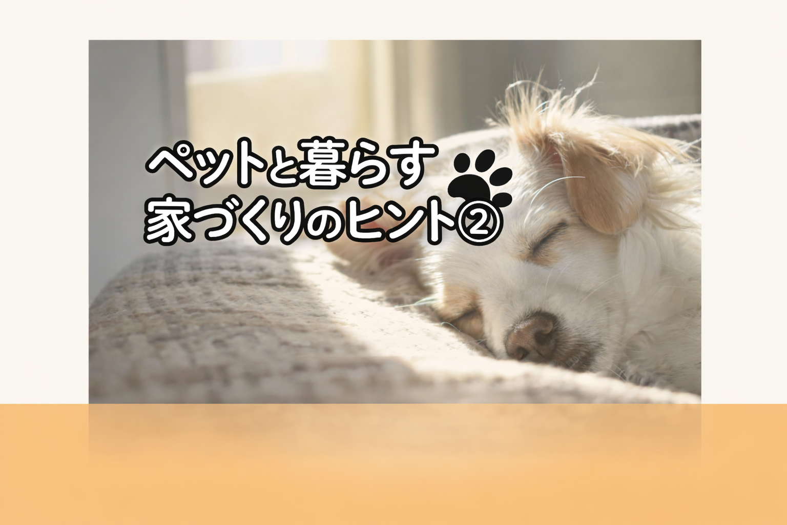 ペットと暮らす家づくりのヒント②