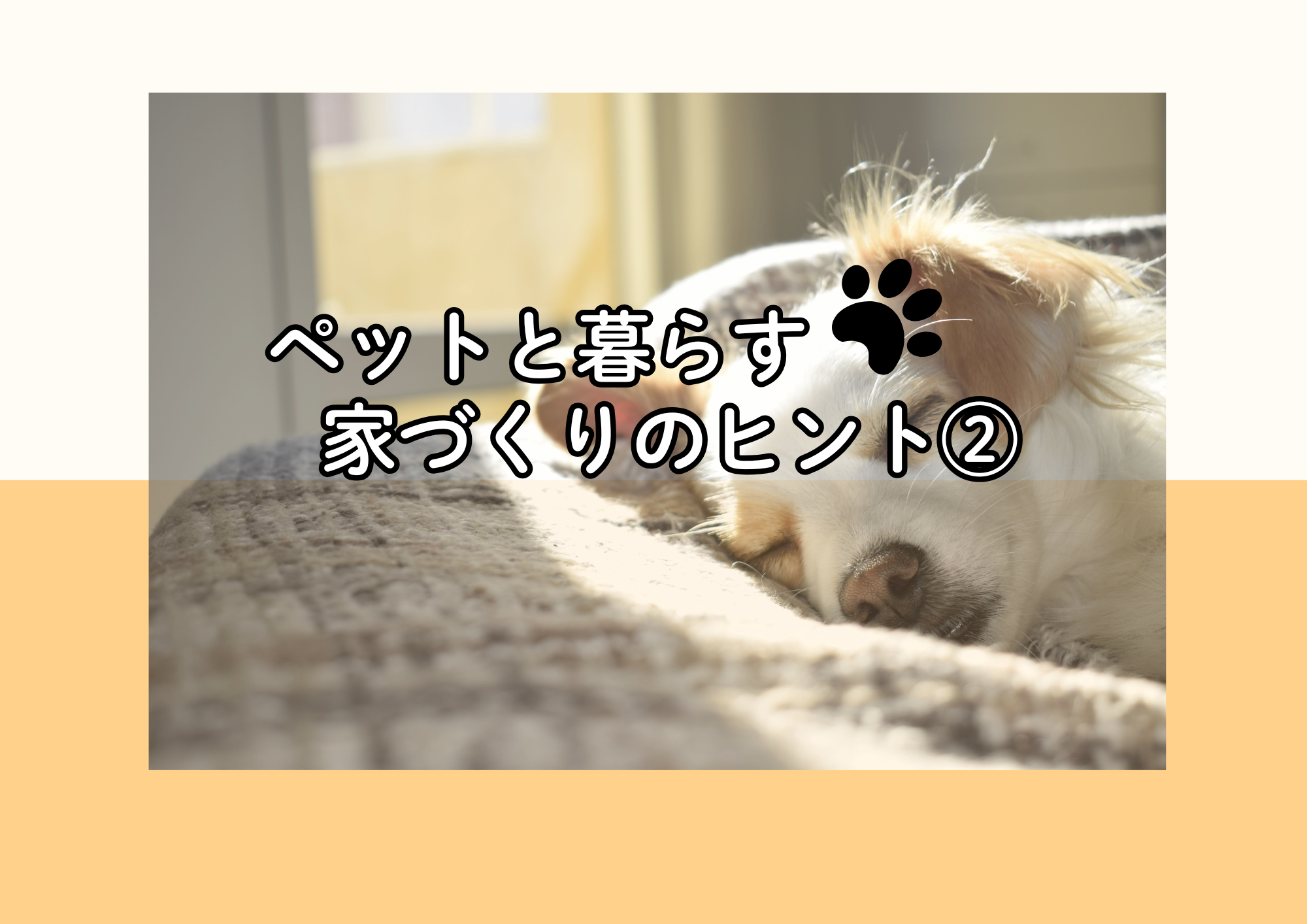 ペットと暮らす家づくりのヒント②