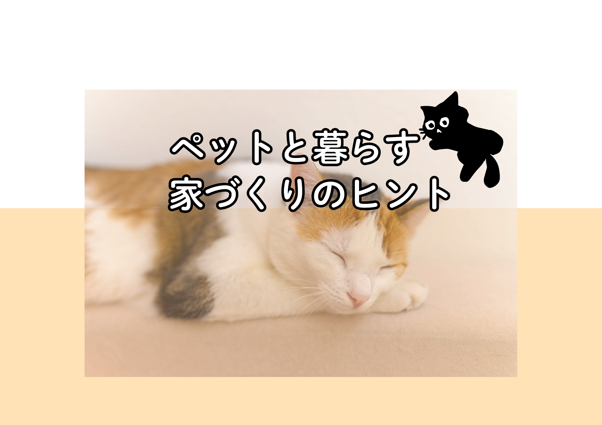 ペットと暮らす家づくりのヒント